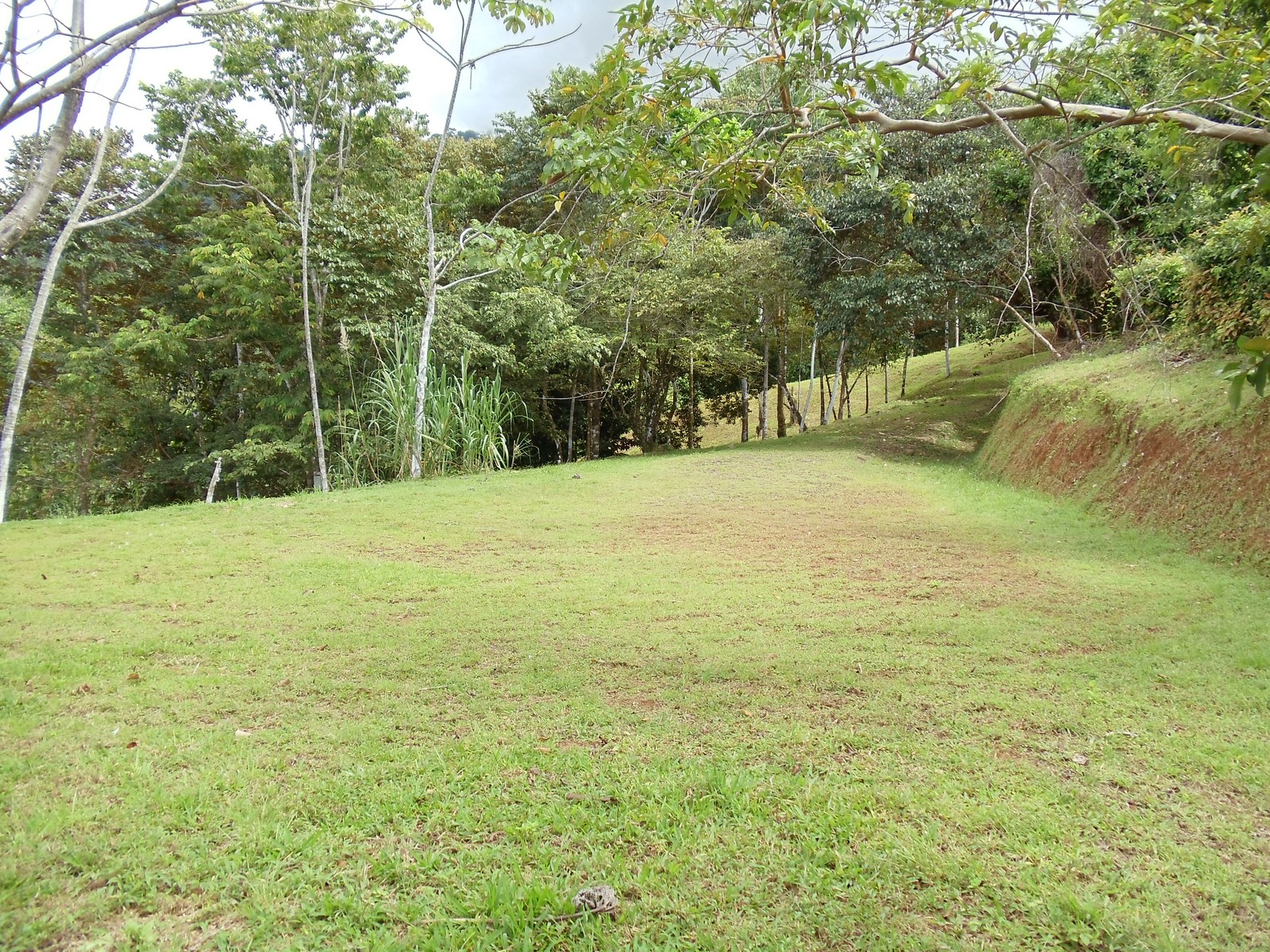 0 bed Land For Sale in Matapalo, Puntarenas - thumb 14