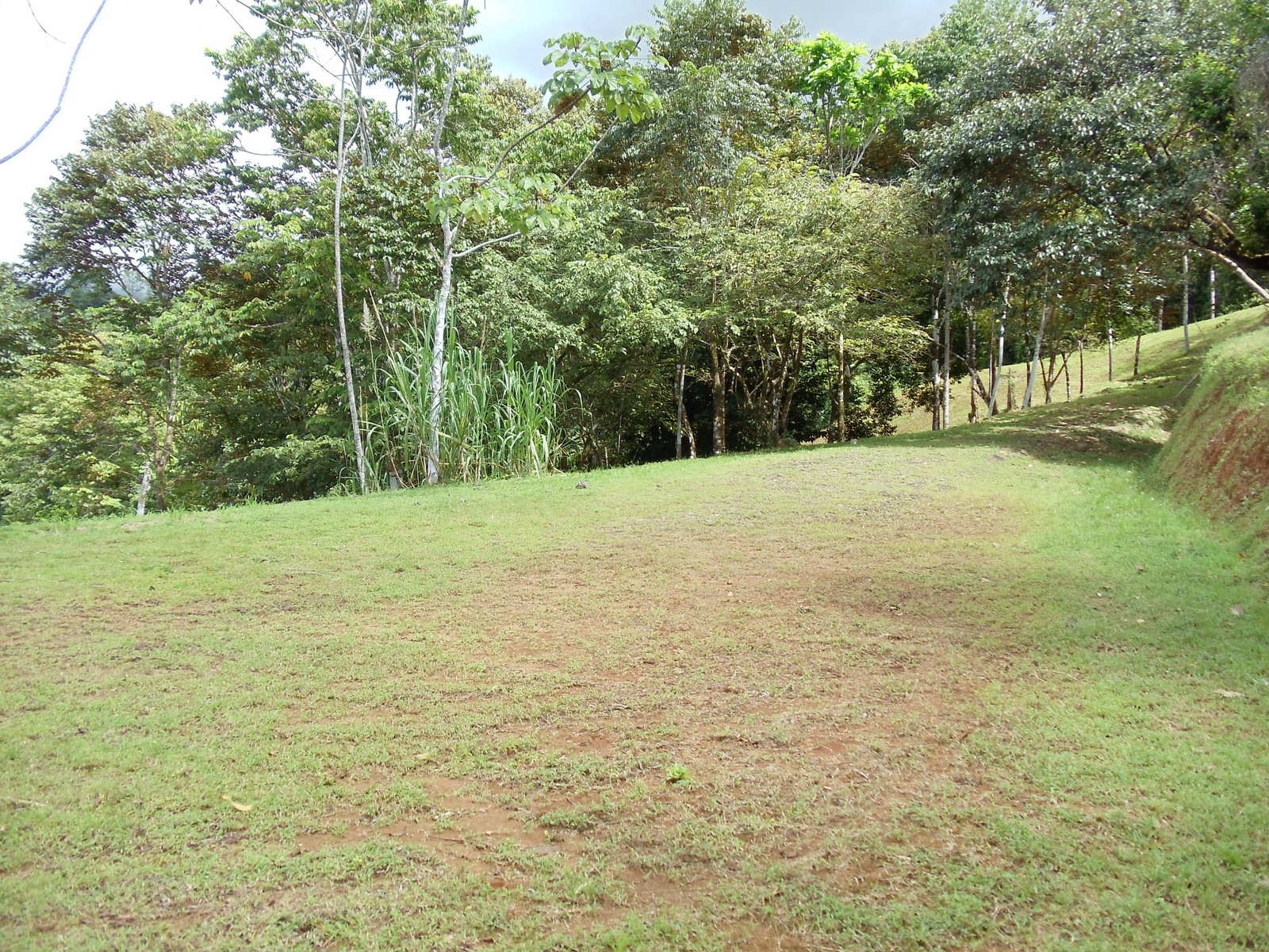 0 bed Land For Sale in Matapalo, Puntarenas - thumb 13