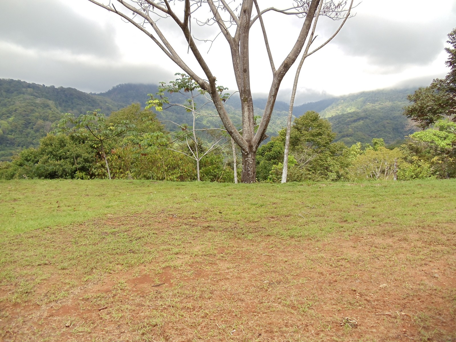 0 bed Land For Sale in Matapalo, Puntarenas - thumb 6