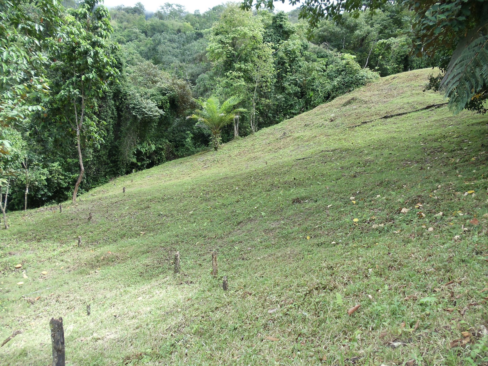 0 bed Land For Sale in Matapalo, Puntarenas - thumb 10