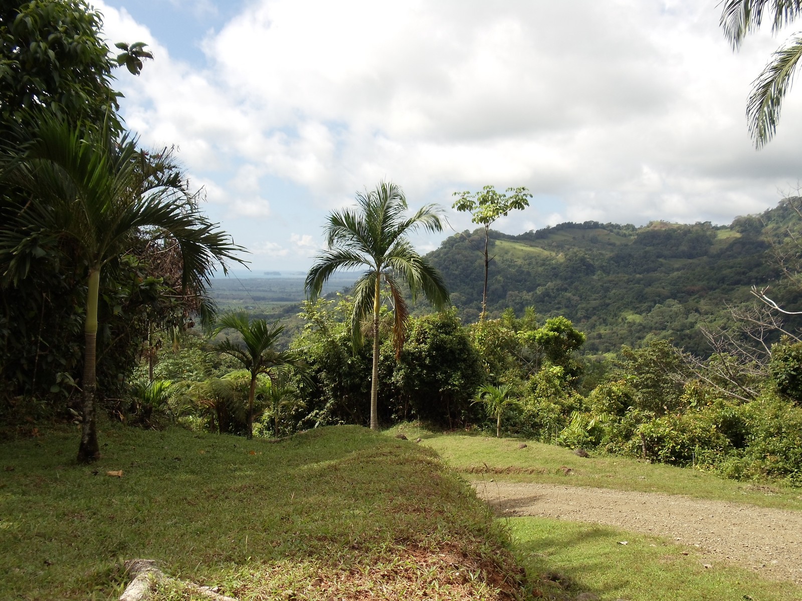 0 bed Land For Sale in Matapalo, Puntarenas - thumb 16
