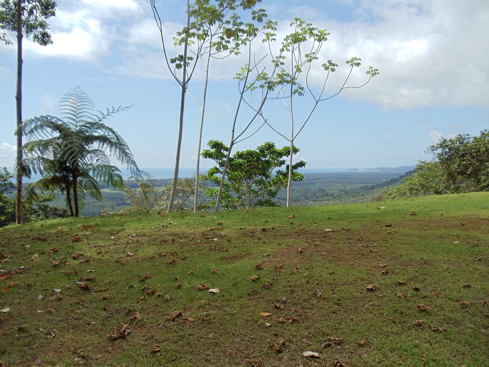 0 bed Land For Sale in Matapalo, Puntarenas - thumb 2