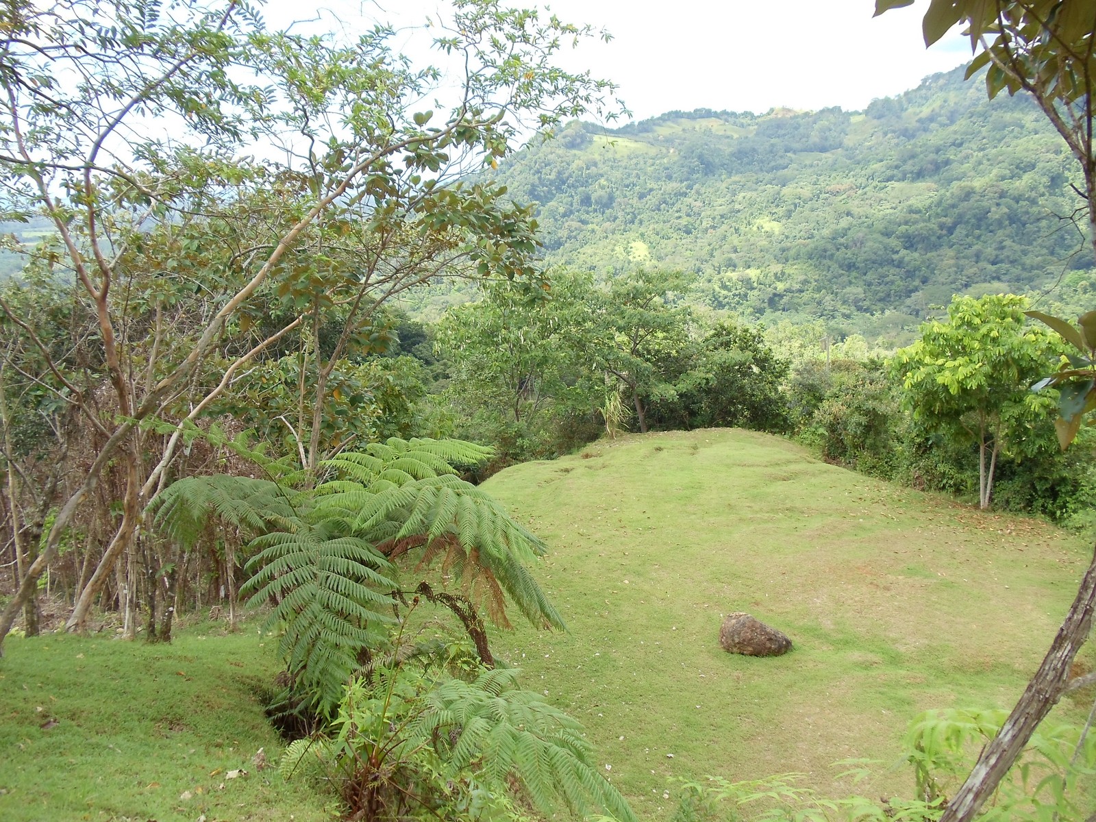 0 bed Land For Sale in Matapalo, Puntarenas - thumb 9