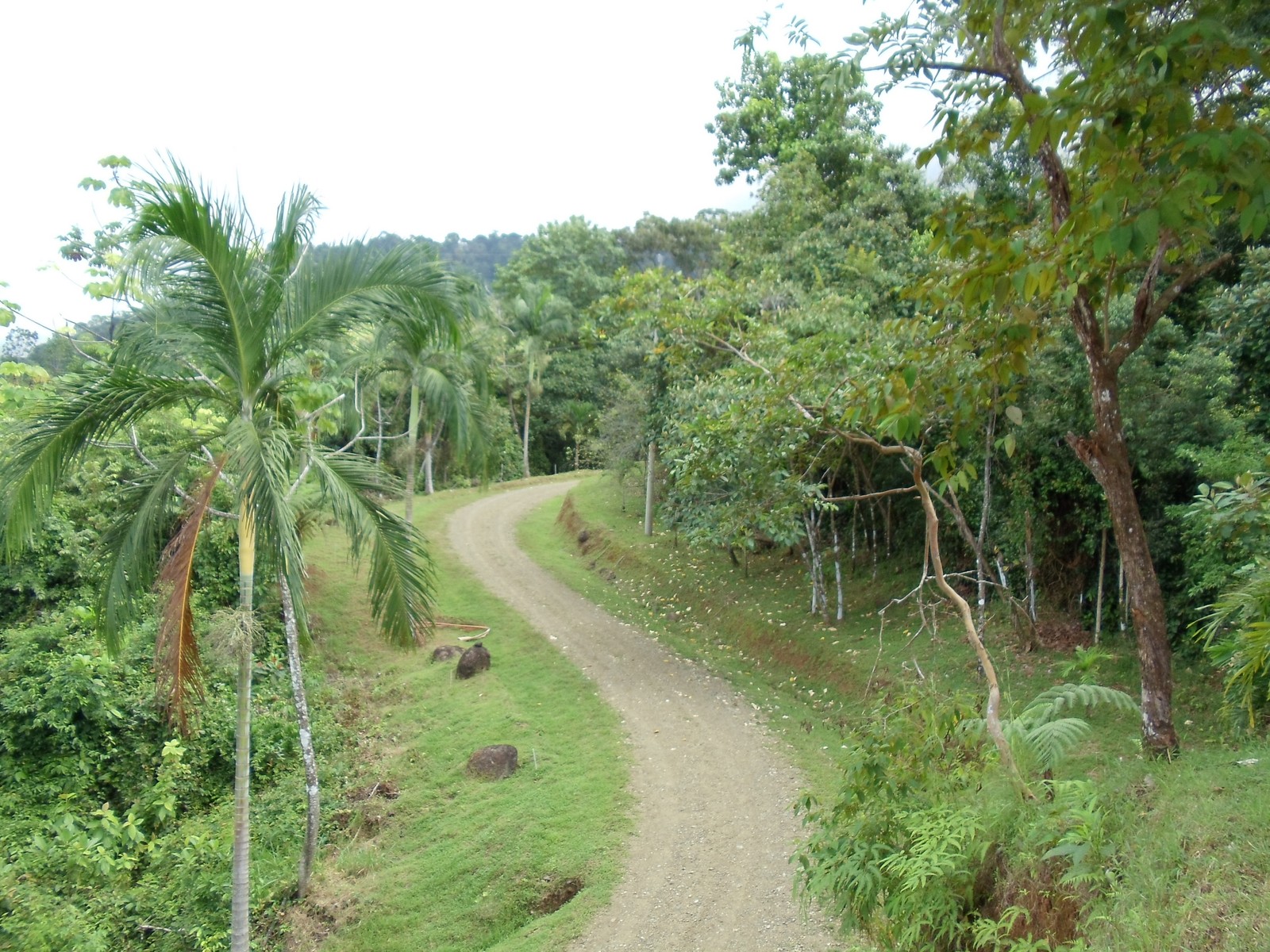 0 bed Land For Sale in Matapalo, Puntarenas - thumb 13