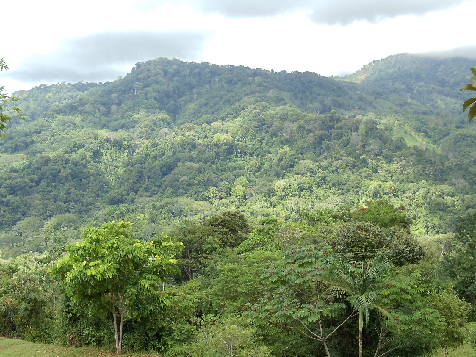 0 bed Land For Sale in Matapalo, Puntarenas - thumb 5