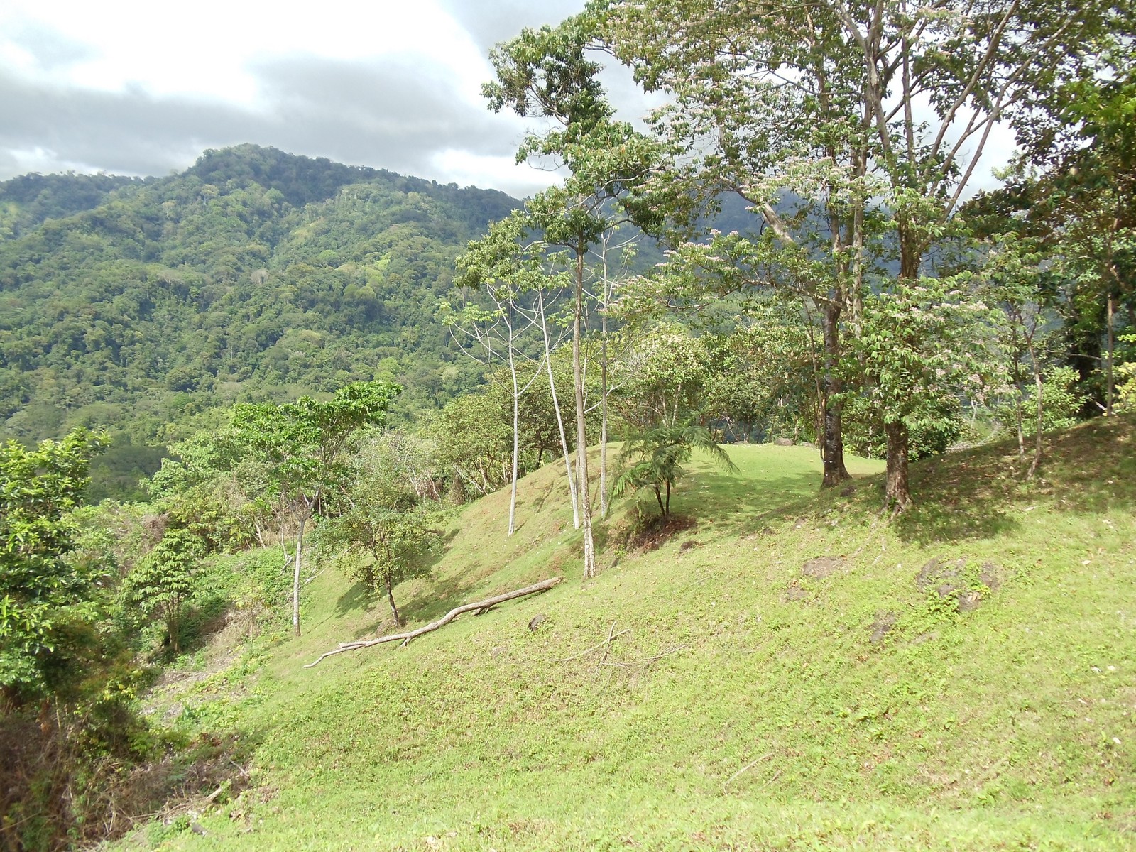 0 bed Land For Sale in Matapalo, Puntarenas - thumb 10