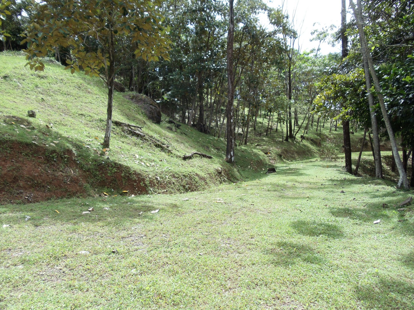 0 bed Land For Sale in Matapalo, Puntarenas - thumb 15