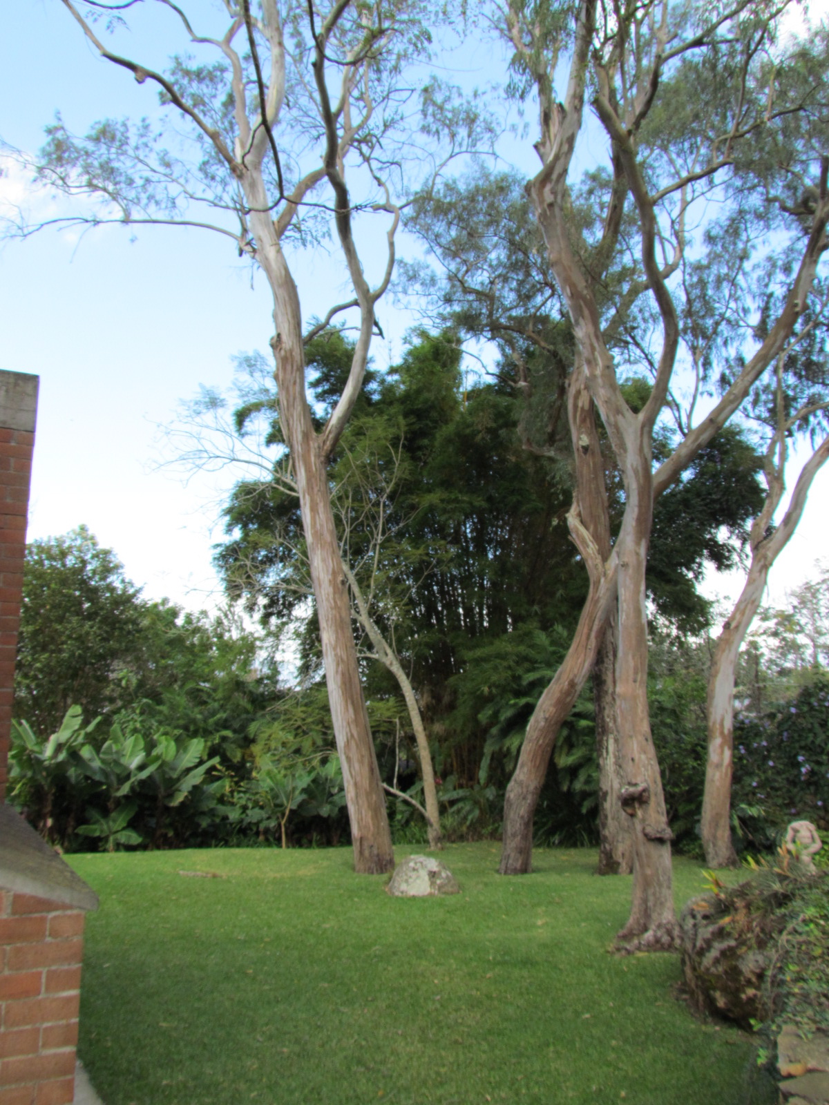 4 bed Single Family Homes For Sale in Escazu, San Jose - thumb 16