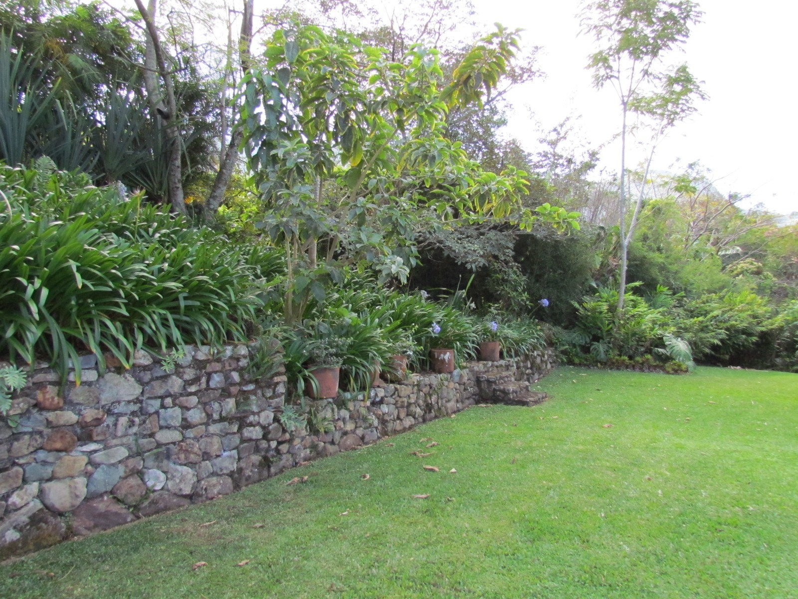 4 bed Single Family Homes For Sale in Escazu, San Jose - thumb 20