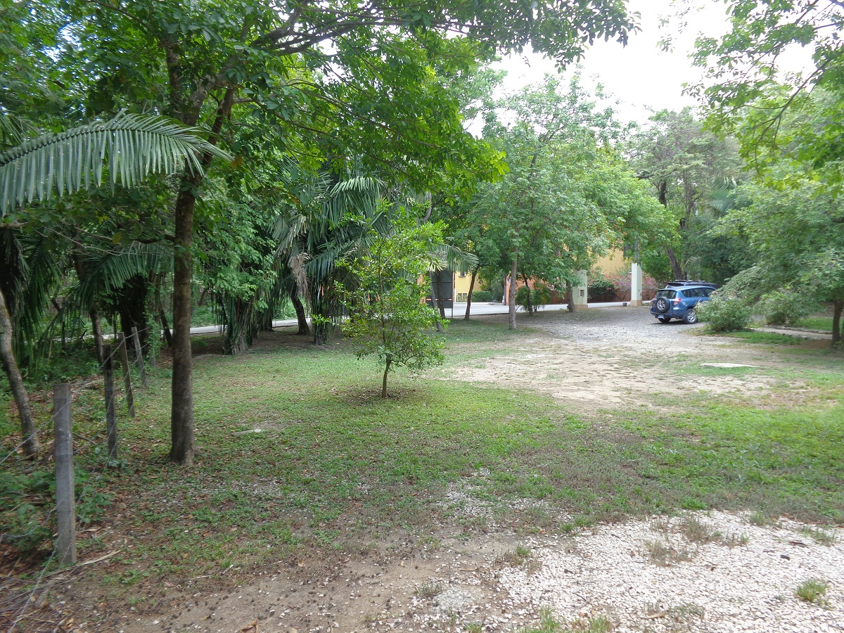 2 bed Condo For Sale in Nosara, Guanacaste - thumb 17
