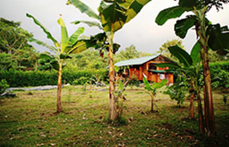 3 bed Hotel / Leisure For Sale in Uvita, Puntarenas - thumb 10