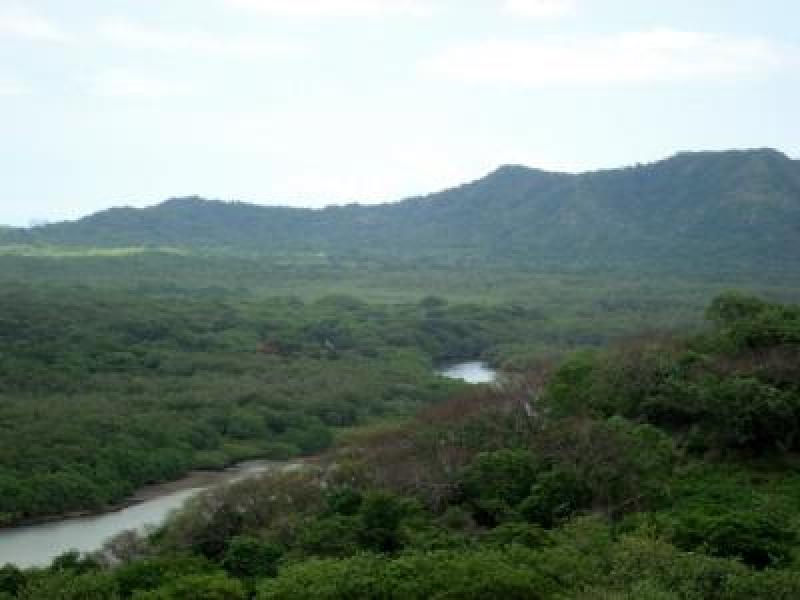 0 bed Land For Sale in Tamarindo, Guanacaste - 1