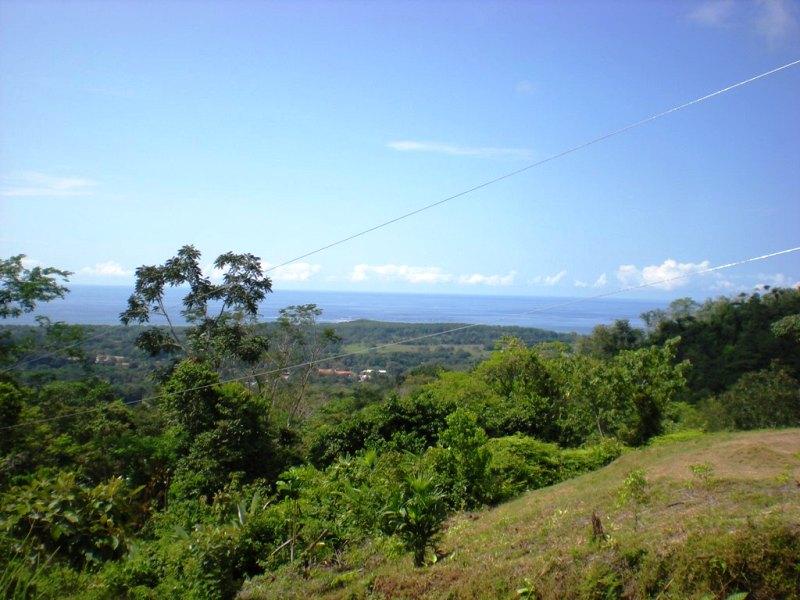 0 bed Land For Sale in Uvita, Puntarenas - 1