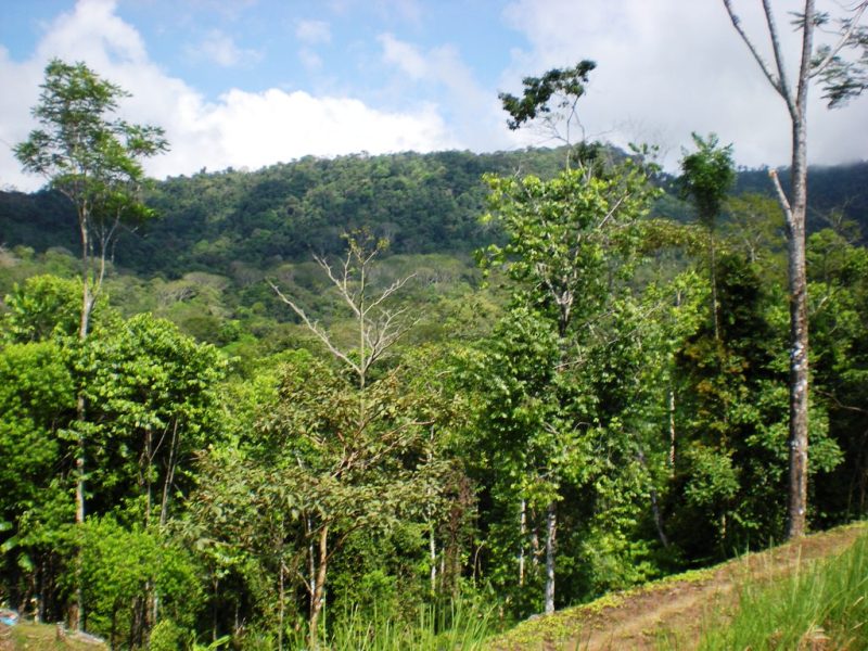 0 bed Land For Sale in Uvita, Puntarenas - thumb 2