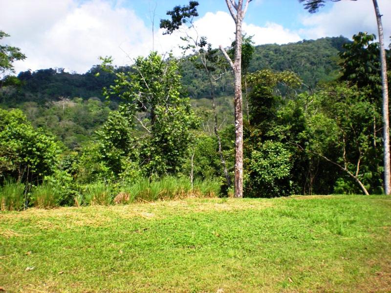 0 bed Land For Sale in Uvita, Puntarenas - thumb 3