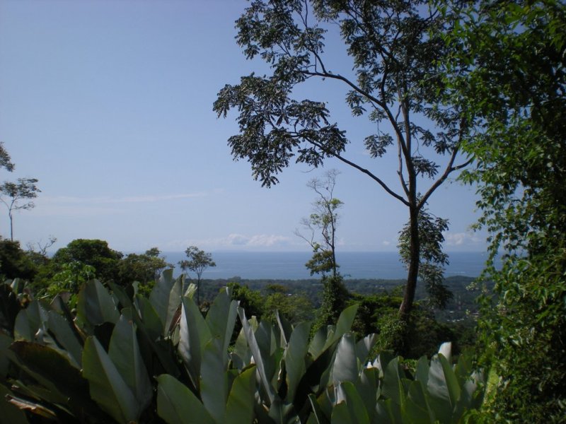 0 bed Land For Sale in Uvita, Puntarenas - thumb 3