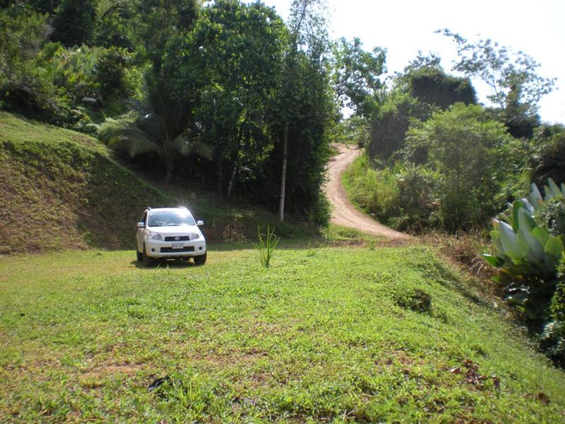 0 bed Land For Sale in Uvita, Puntarenas - thumb 6