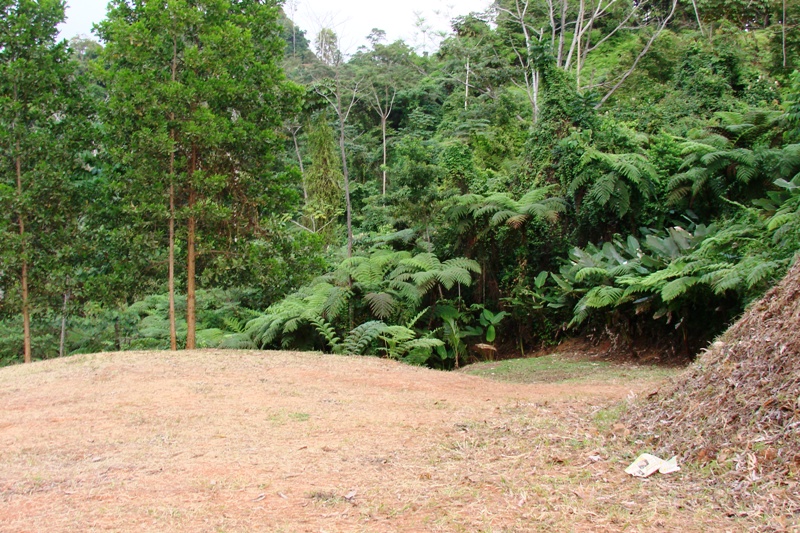 0 bed Land For Sale in Uvita, Puntarenas - thumb 4