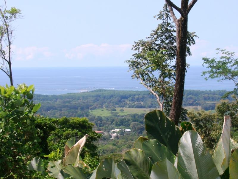 0 bed Land For Sale in Uvita, Puntarenas - 1