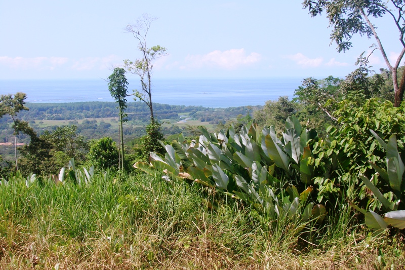 0 bed Land For Sale in Uvita, Puntarenas - thumb 2