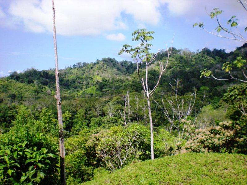 0 bed Land For Sale in Uvita, Puntarenas - thumb 5
