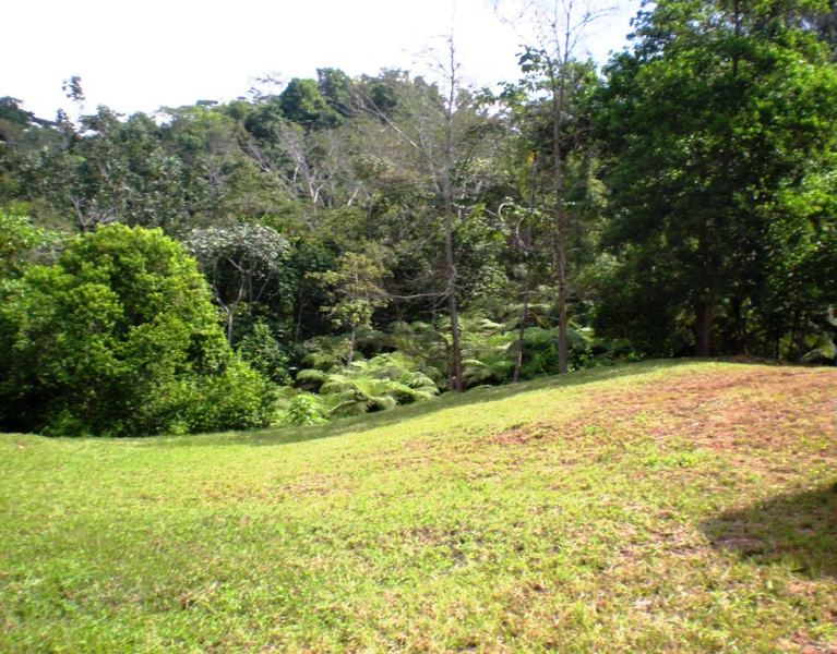 0 bed Land For Sale in Uvita, Puntarenas - thumb 4
