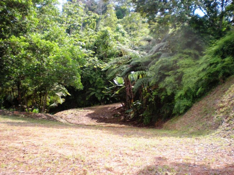 0 bed Land For Sale in Uvita, Puntarenas - thumb 8