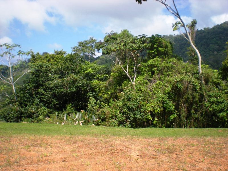 0 bed Land For Sale in Uvita, Puntarenas - thumb 7