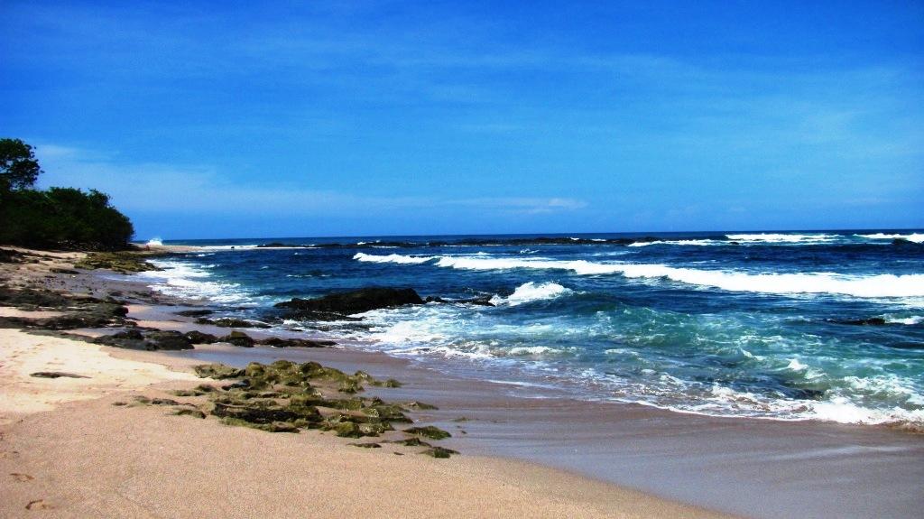 4 bed Single Family Homes For Sale in Tamarindo, Guanacaste - thumb 5