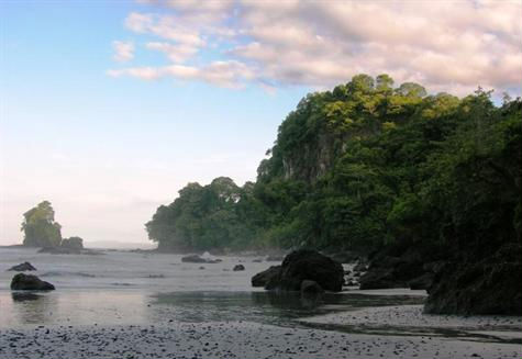 3 bed Single Family Homes For Sale in Manuel Antonio, Puntarenas - thumb 17