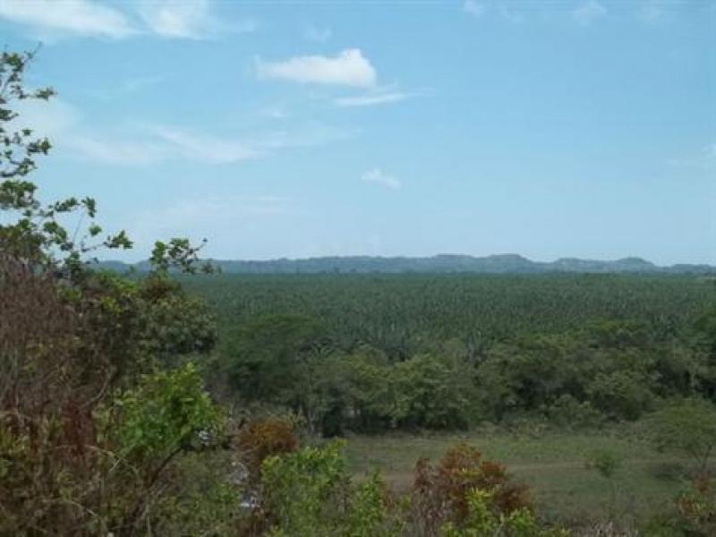 0 bed Land For Sale in Quepos, Puntarenas - 1