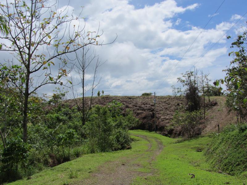 0 bed Land For Sale in Dominical, Puntarenas - thumb 2