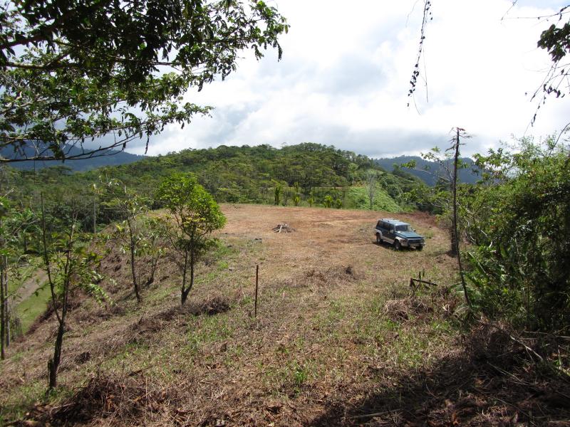 0 bed Land For Sale in Dominical, Puntarenas - thumb 4