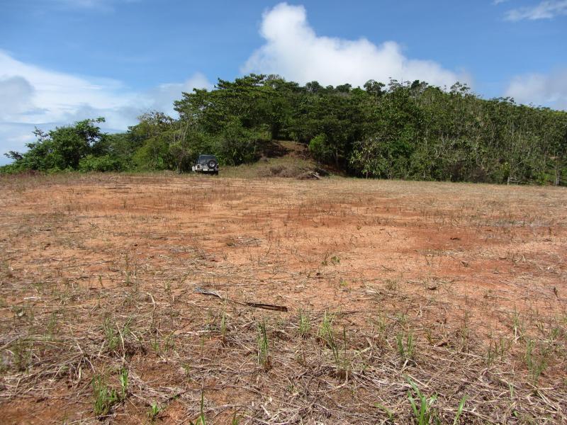 0 bed Land For Sale in Dominical, Puntarenas - thumb 6