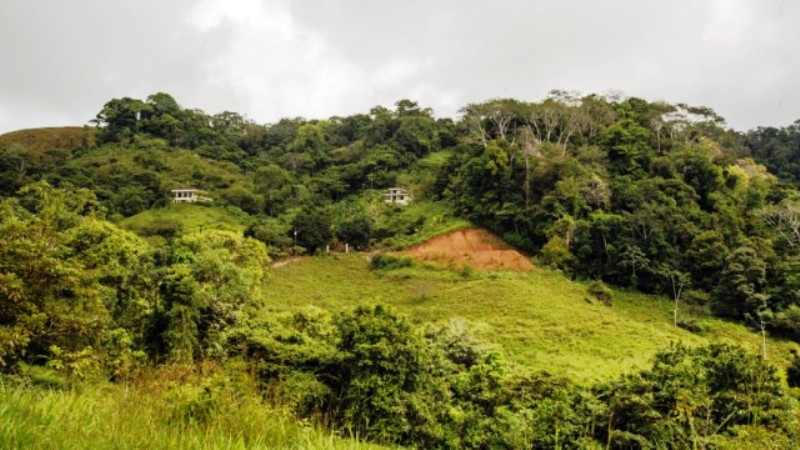 5 bed Single Family Homes For Sale in Dominical, Puntarenas - thumb 24