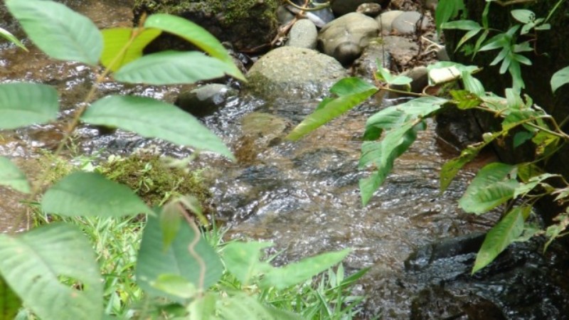 5 bed Single Family Homes For Sale in Dominical, Puntarenas - thumb 26