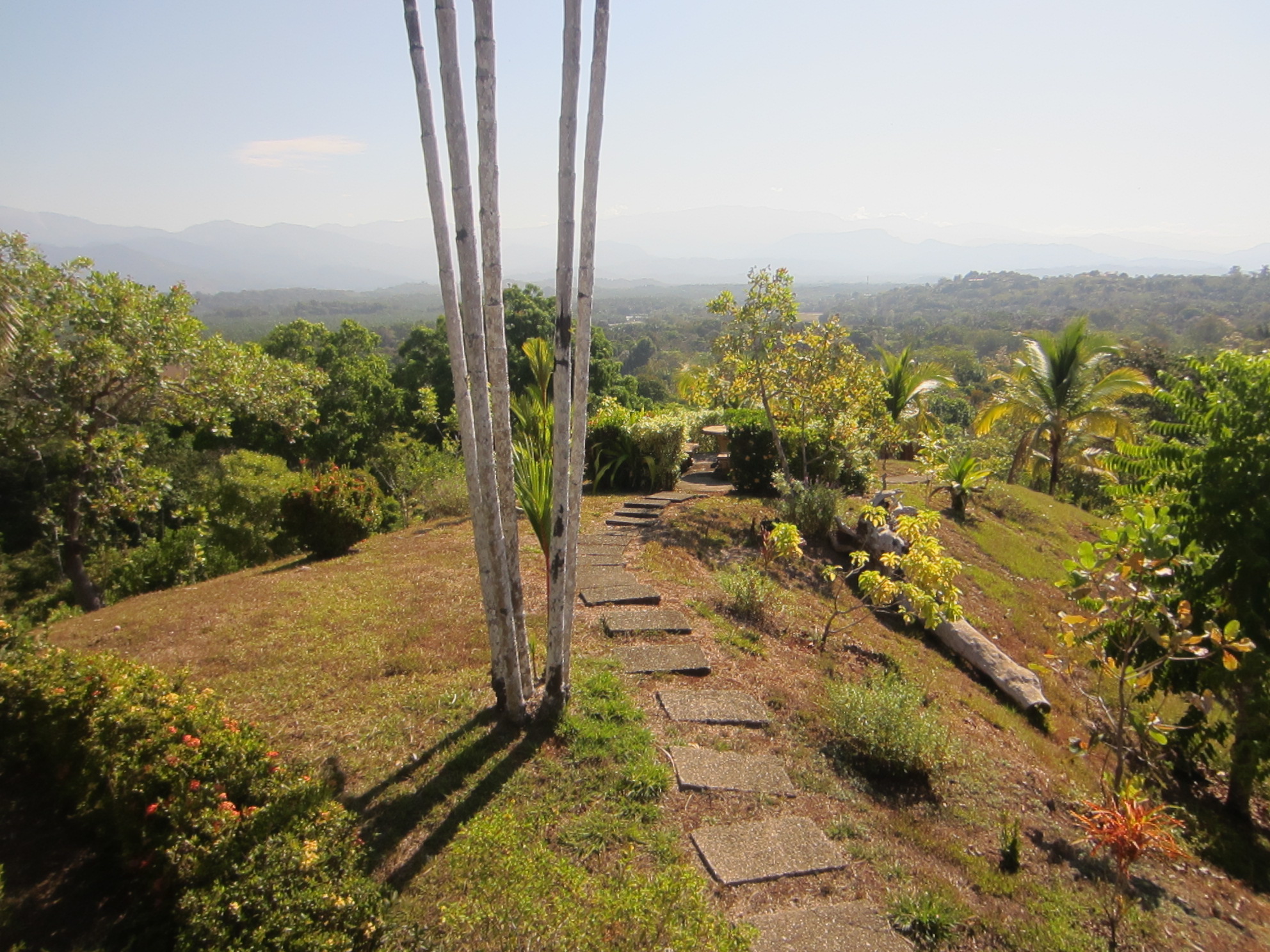 6 bed Single Family Homes For Sale in Manuel Antonio, Puntarenas - thumb 16