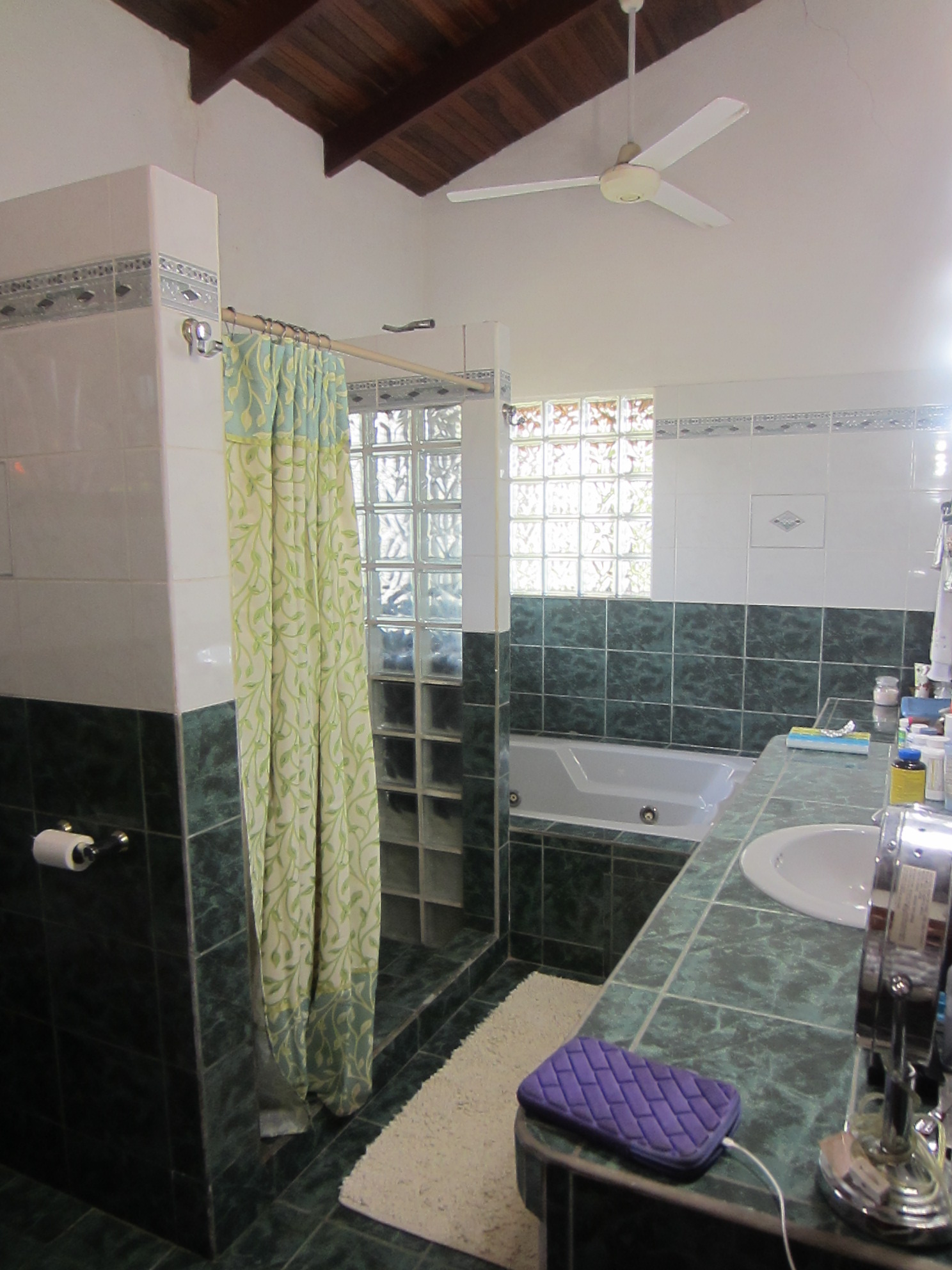 6 bed Single Family Homes For Sale in Manuel Antonio, Puntarenas - thumb 29