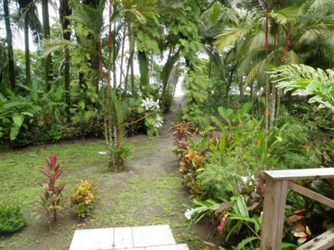 4 bed Single Family Homes For Sale in Manuel Antonio, Puntarenas - thumb 2