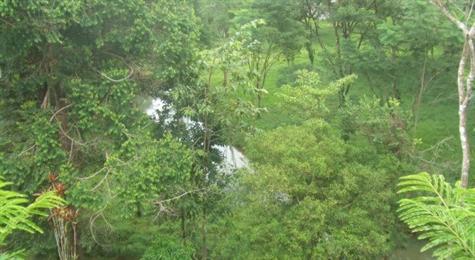 2 bed Single Family Homes For Sale in Manuel Antonio, Puntarenas - thumb 17