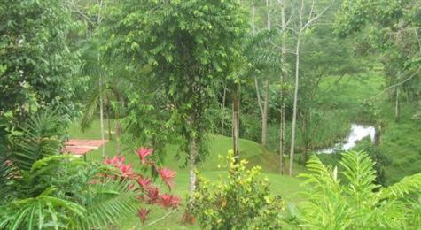 2 bed Single Family Homes For Sale in Manuel Antonio, Puntarenas - thumb 18