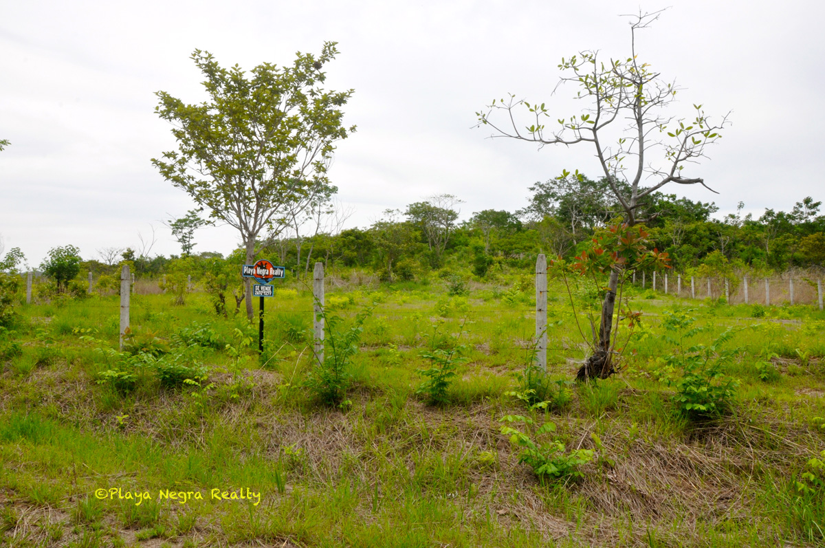 0 bed Land For Sale in Playa Negra, Guanacaste - thumb 8