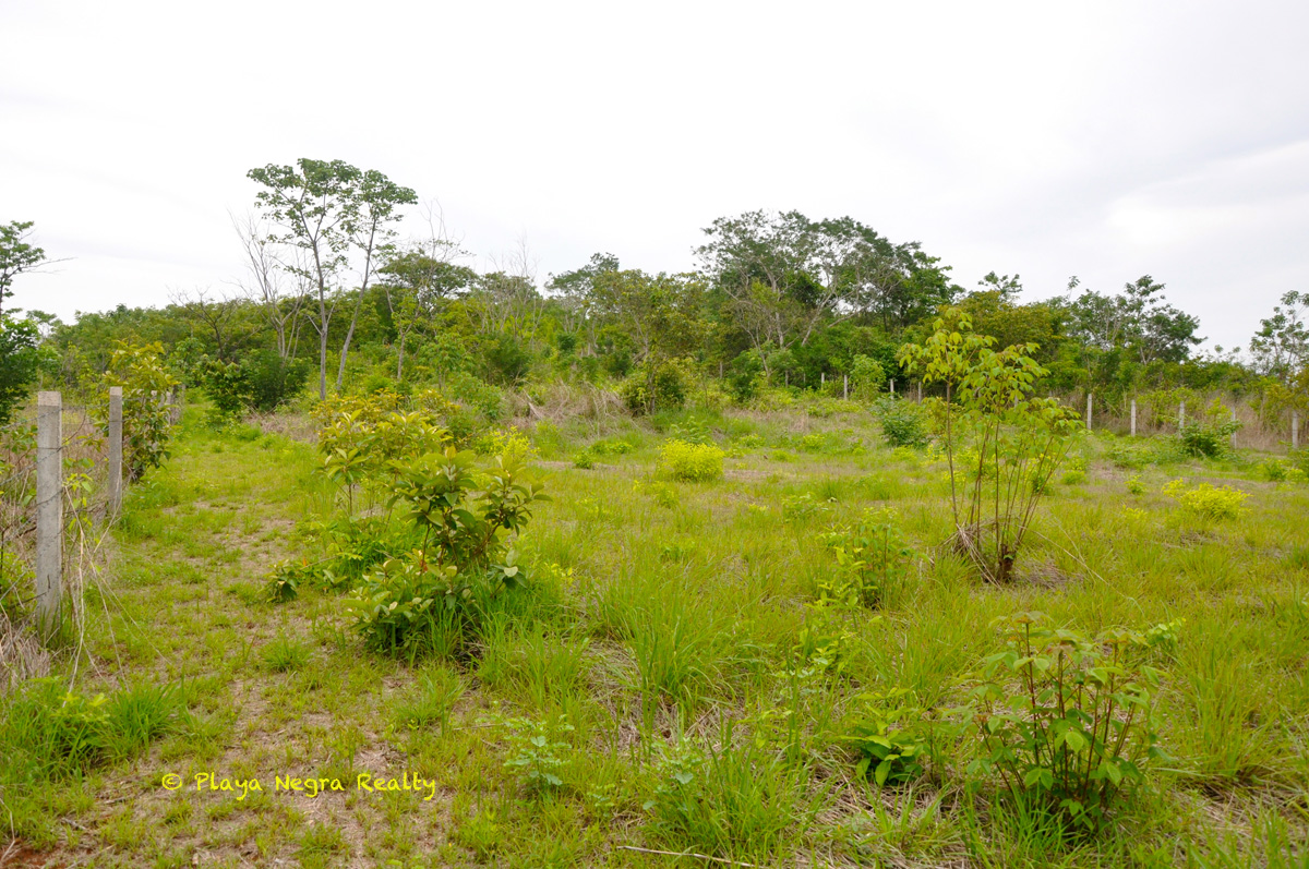 0 bed Land For Sale in Playa Negra, Guanacaste - thumb 7