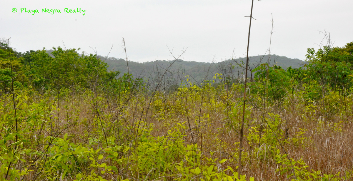 0 bed Land For Sale in Playa Negra, Guanacaste - thumb 6