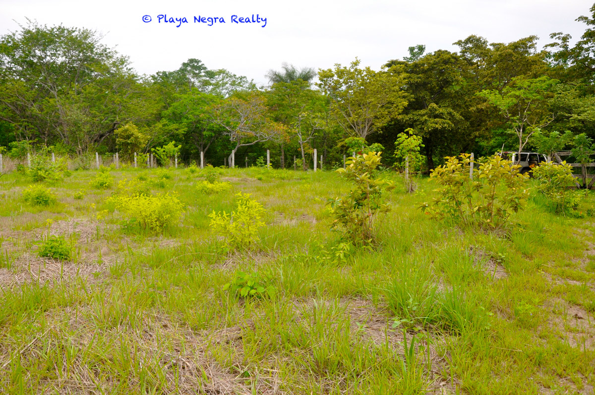 0 bed Land For Sale in Playa Negra, Guanacaste - thumb 5