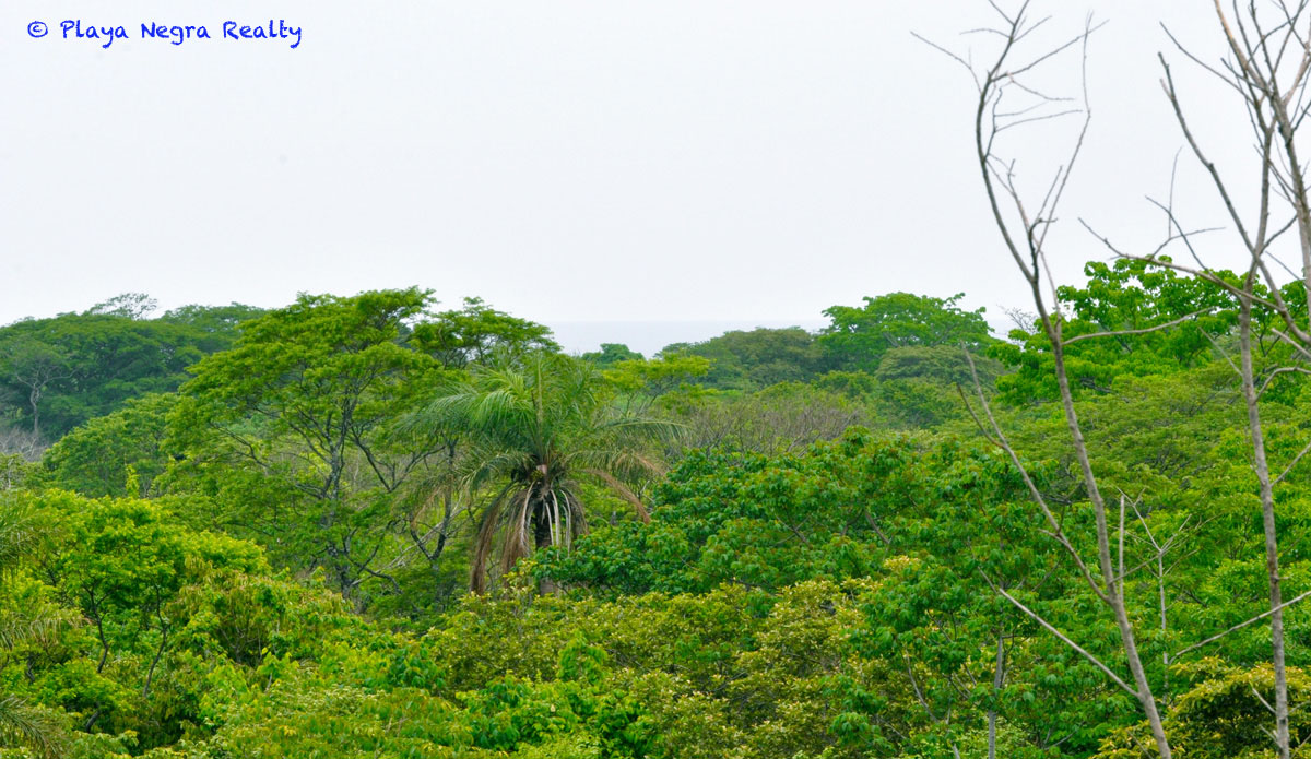0 bed Land For Sale in Playa Negra, Guanacaste - thumb 2