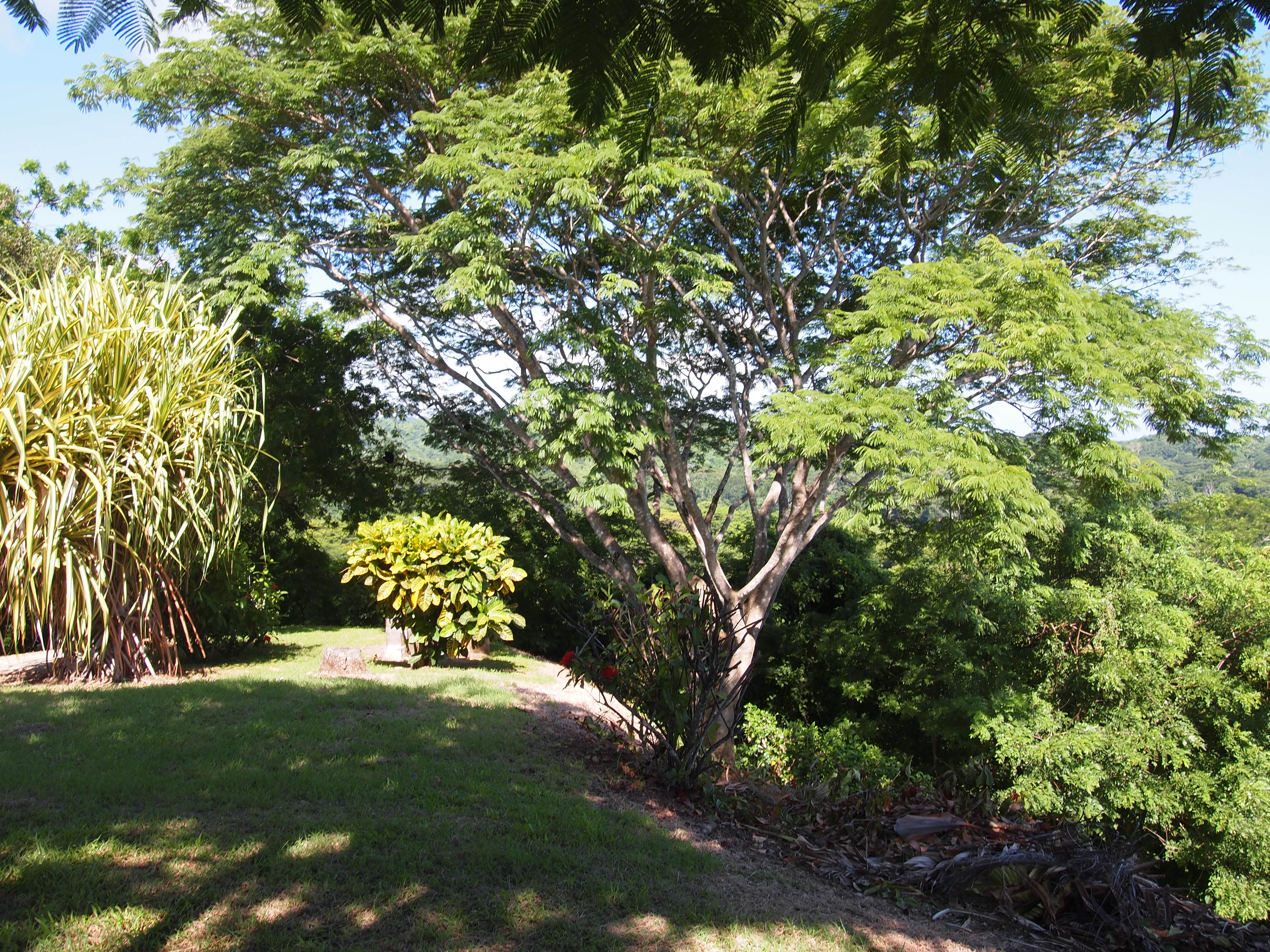 3 bed Single Family Homes For Sale in Samara, Guanacaste - thumb 21
