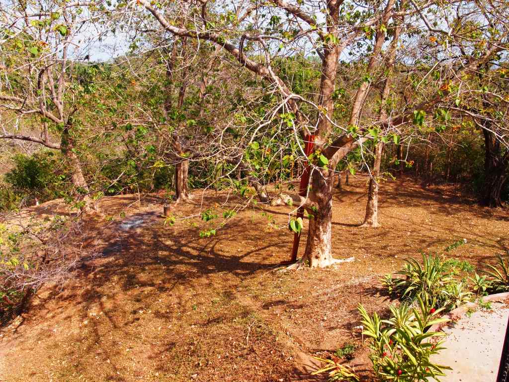 2 bed Single Family Homes For Sale in Samara, Guanacaste - thumb 16