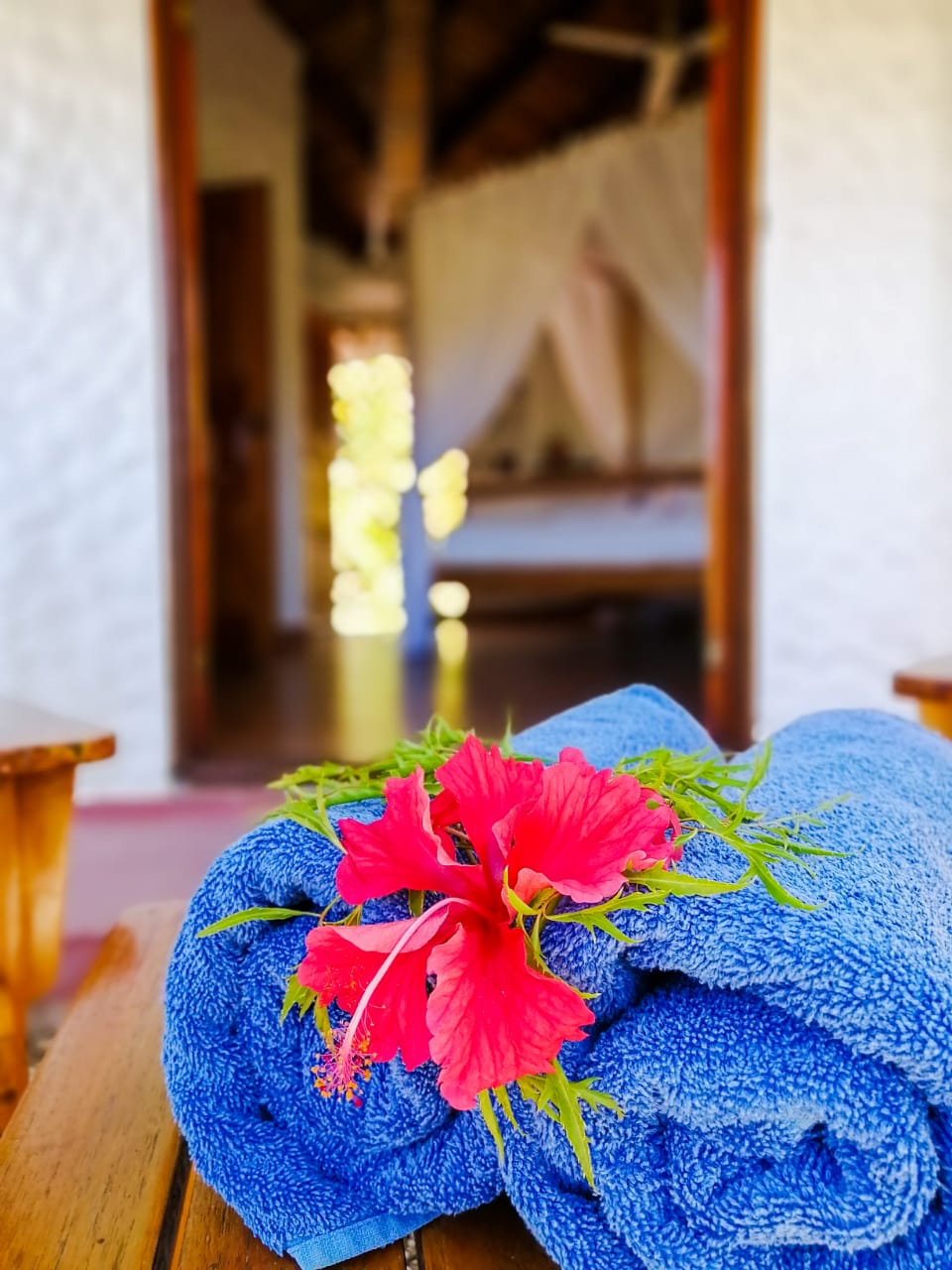 19 bed Hotel / Leisure For Sale in Samara, Guanacaste - thumb 18