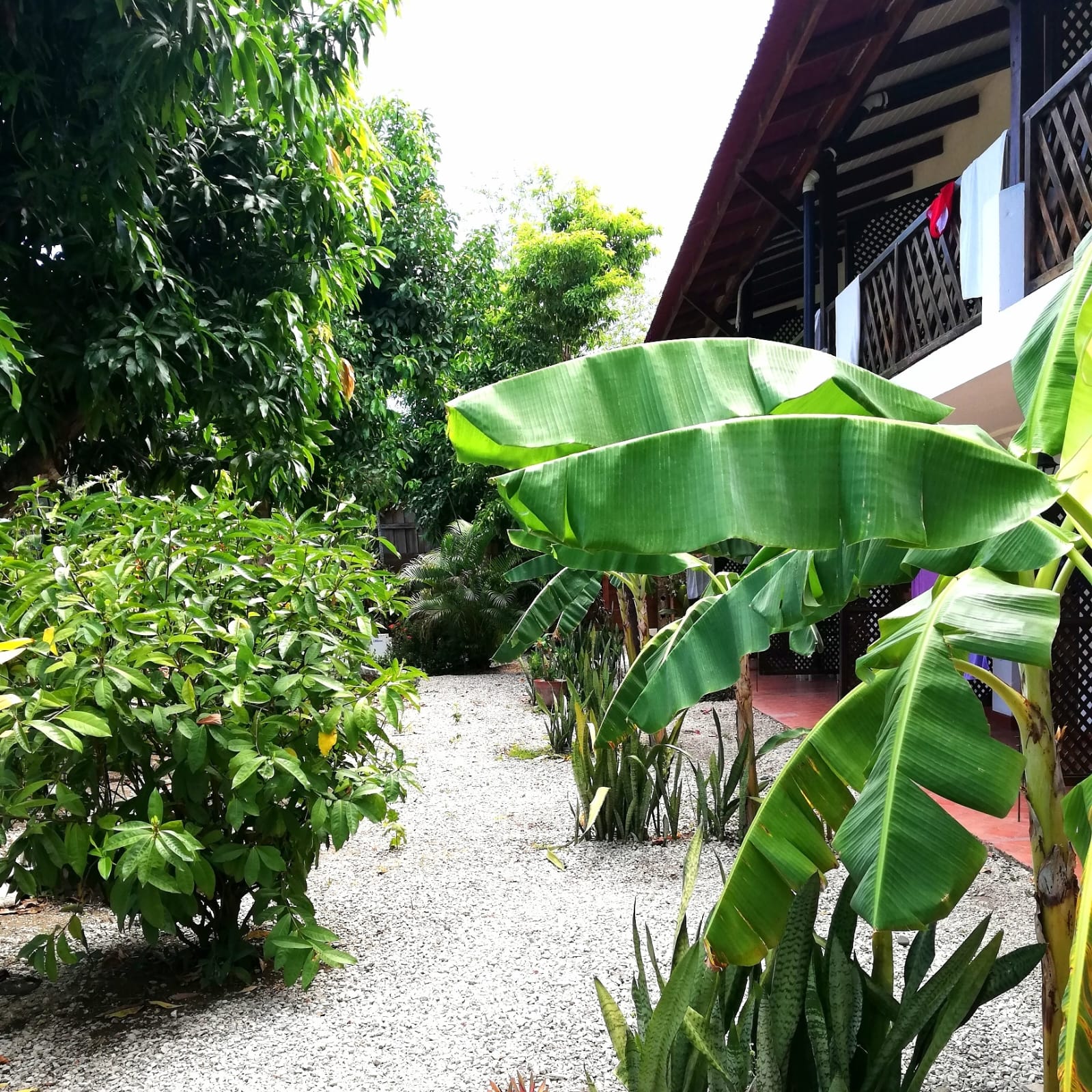 19 bed Hotel / Leisure For Sale in Samara, Guanacaste - thumb 7